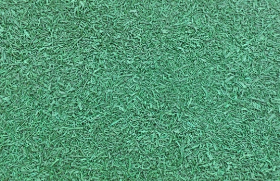 Spirulina Fit